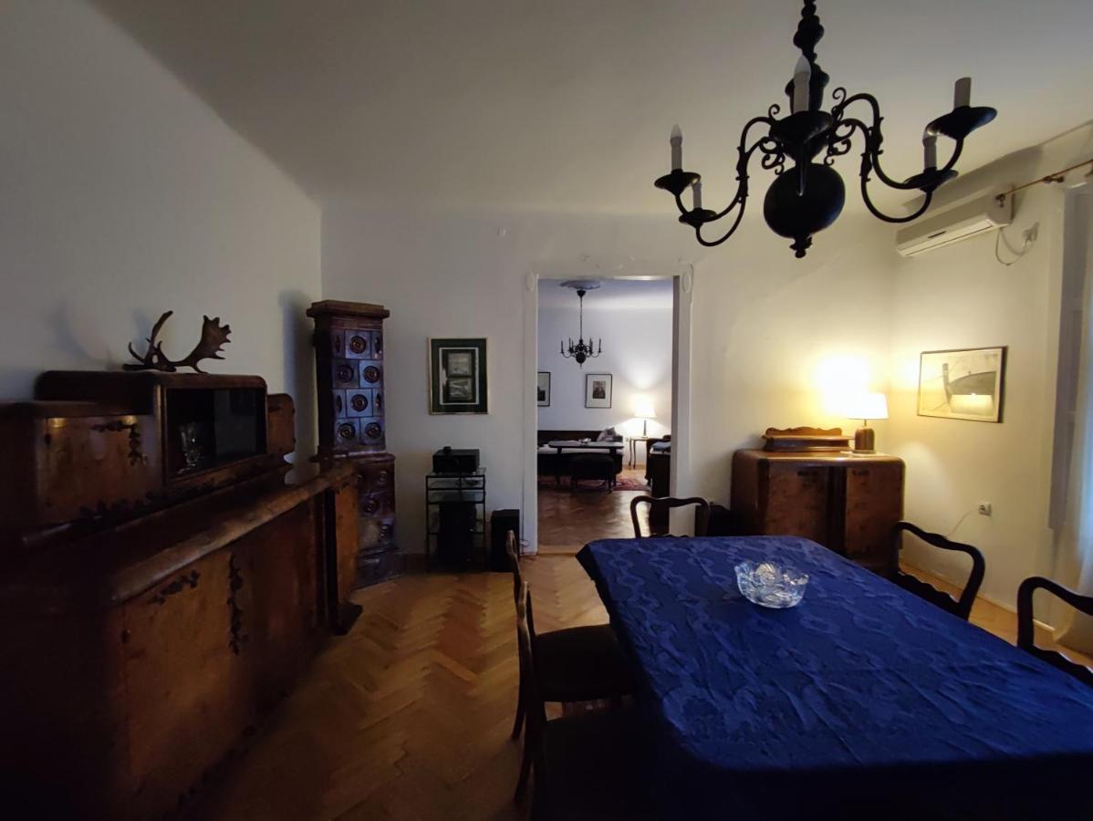 Vintage Apartment In The Center Of נובי סאד מראה חיצוני תמונה