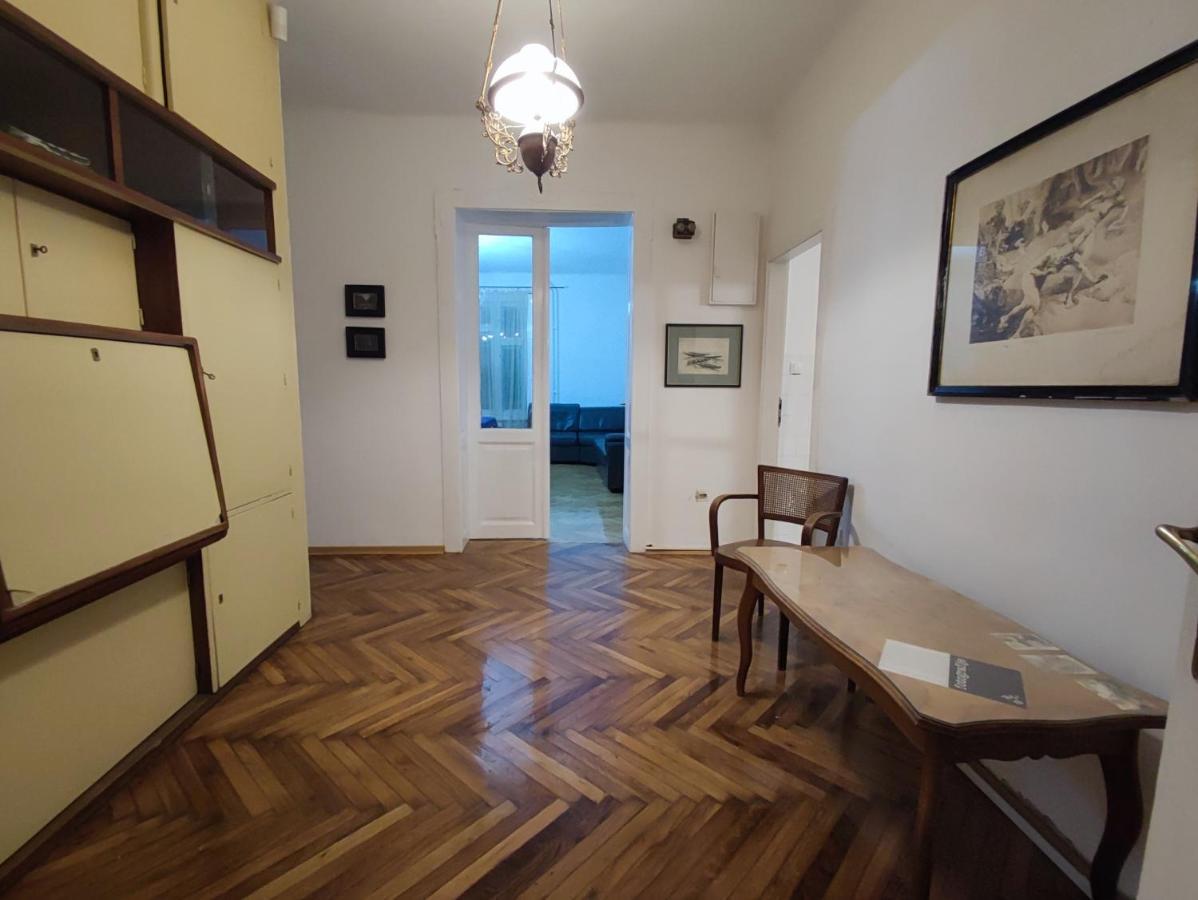Vintage Apartment In The Center Of נובי סאד מראה חיצוני תמונה