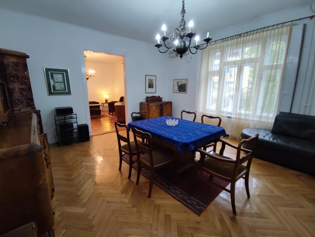 Vintage Apartment In The Center Of נובי סאד מראה חיצוני תמונה