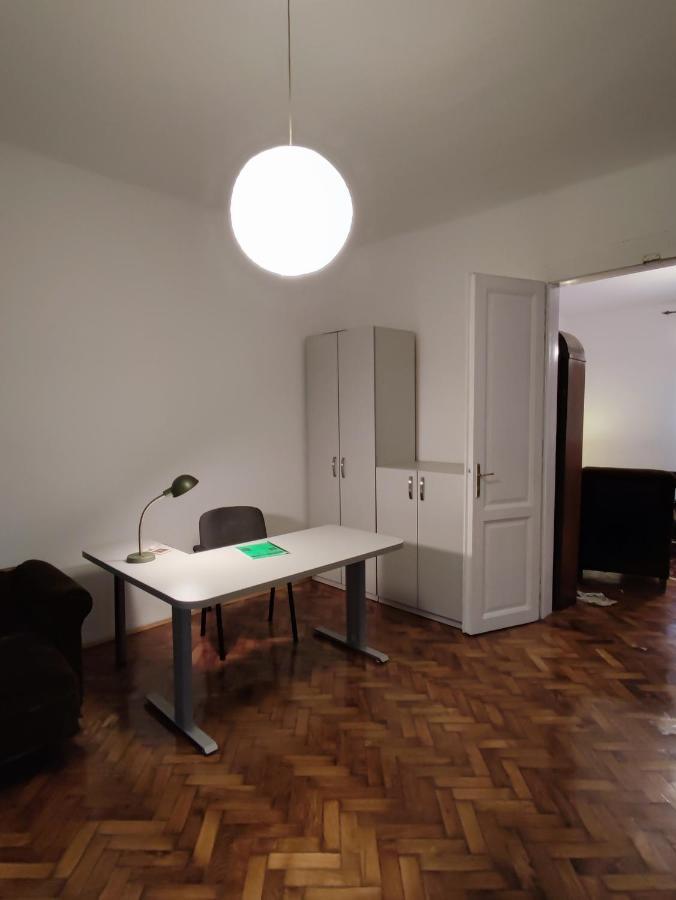 Vintage Apartment In The Center Of נובי סאד מראה חיצוני תמונה