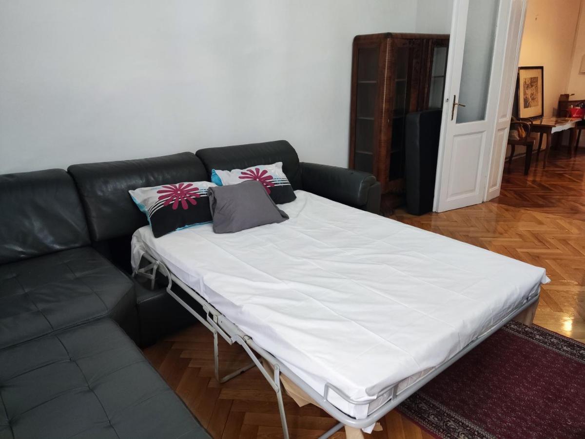 Vintage Apartment In The Center Of נובי סאד מראה חיצוני תמונה